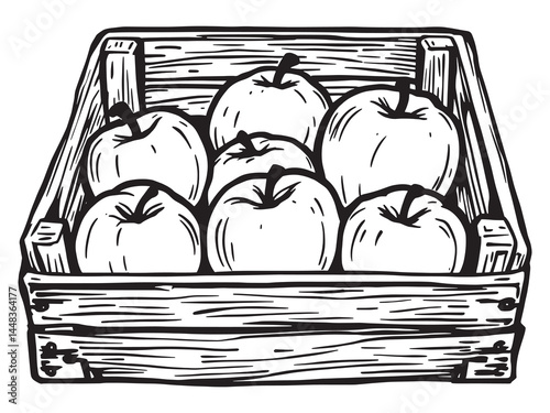 Apple Crate line art icon vintage market sketch