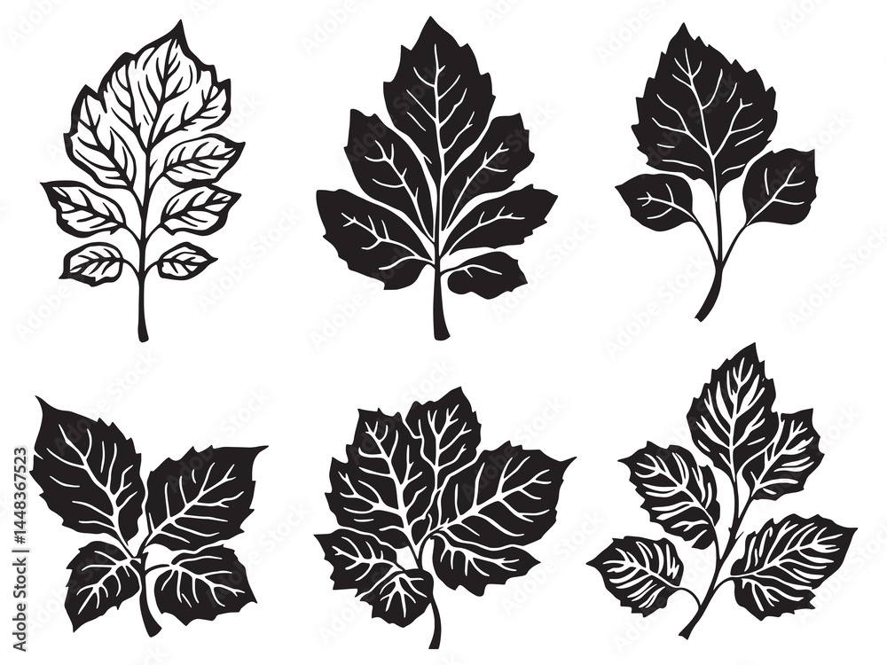 Fototapeta premium Artistic Line Drawing of a Graceful Coleus Leaf Illustration