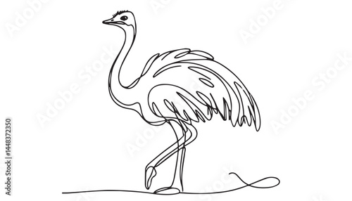 Continuous one single minimal line drawing Common ostrich