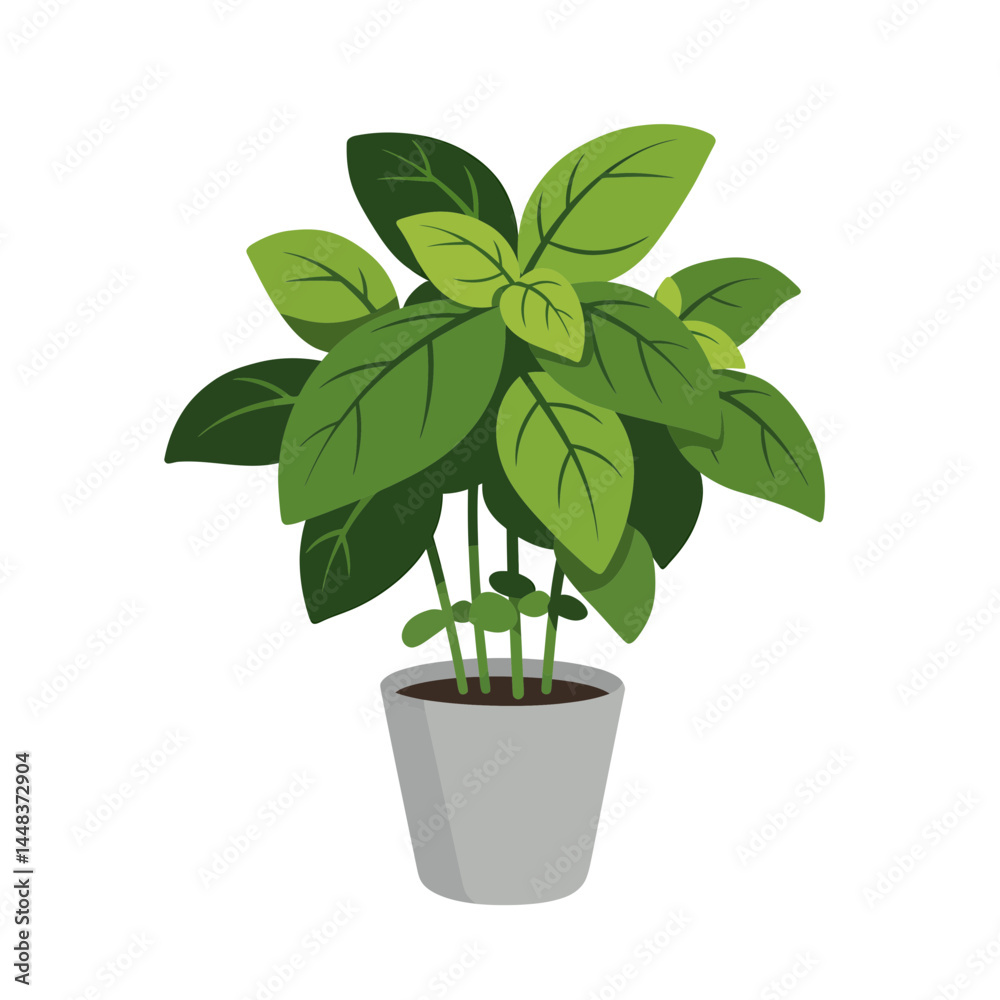 Simple vector illustration of a basil plant with bright green leaves in a small gray pot on a white background, concept for interior design, gardening, and culinary themes Simple vector illustration of a basil plant with bright green leaves in a small gray pot on a white background, concept for interior design, gardening, and culinary themes