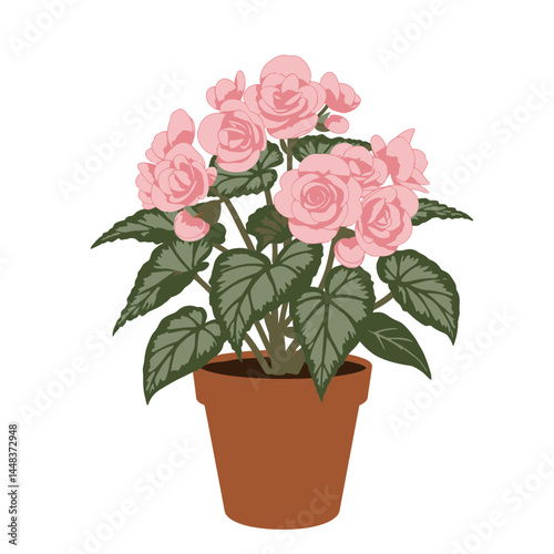 Simple vector illustration of a pink begonia plant in a terracotta pot, with patterned leaves and no bold outlines; concept for interior design, garden elements, and landscaping projects