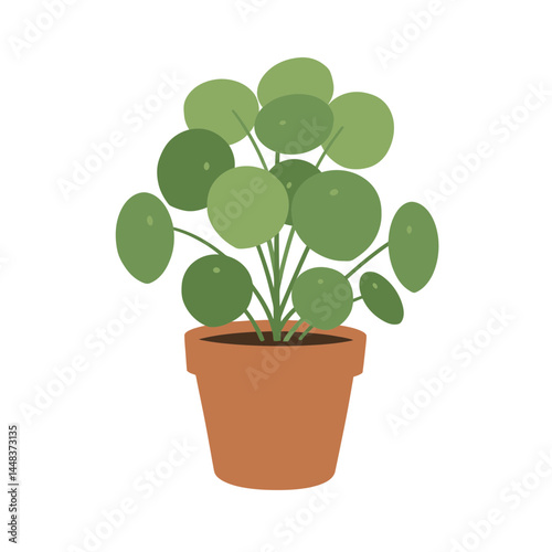 Simple vector illustration of a Chinese money plant (pilea) in a terracotta pot, featuring round green leaves on a white background, ideal for interior design and landscape concepts