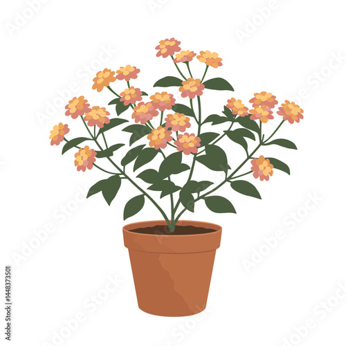 Simple vector illustration of lantana plant in a terracotta pot with small cluster flowers, isolated on white background; concept for interior design, garden elements, and landscaping projects