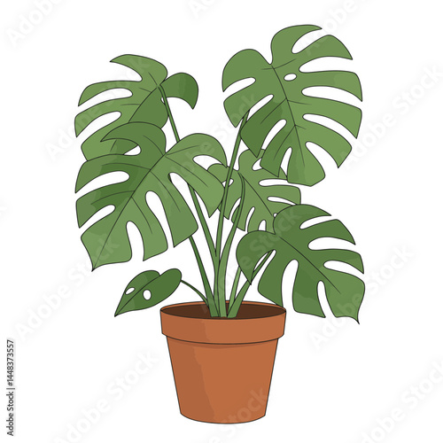 Simple vector illustration of a monstera deliciosa plant in a terracotta pot, featuring large split leaves against a white background, concept for interior design and home decor