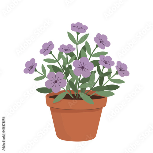 Simple vector illustration of a Mexican petunia plant with purple flowers in a terracotta pot, isolated on white background; concept for gardening, landscaping, and home decor