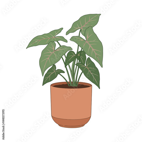 Simple vector illustration of a syngonium plant with arrow-shaped leaves in a small terracotta pot on white background, concept for interior design and home decor