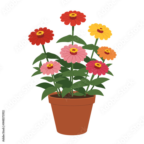 Simple vector illustration of zinnia flowers in a terracotta pot, vibrant blooms in various colors; concept for garden design, home decor, and floral greeting cards