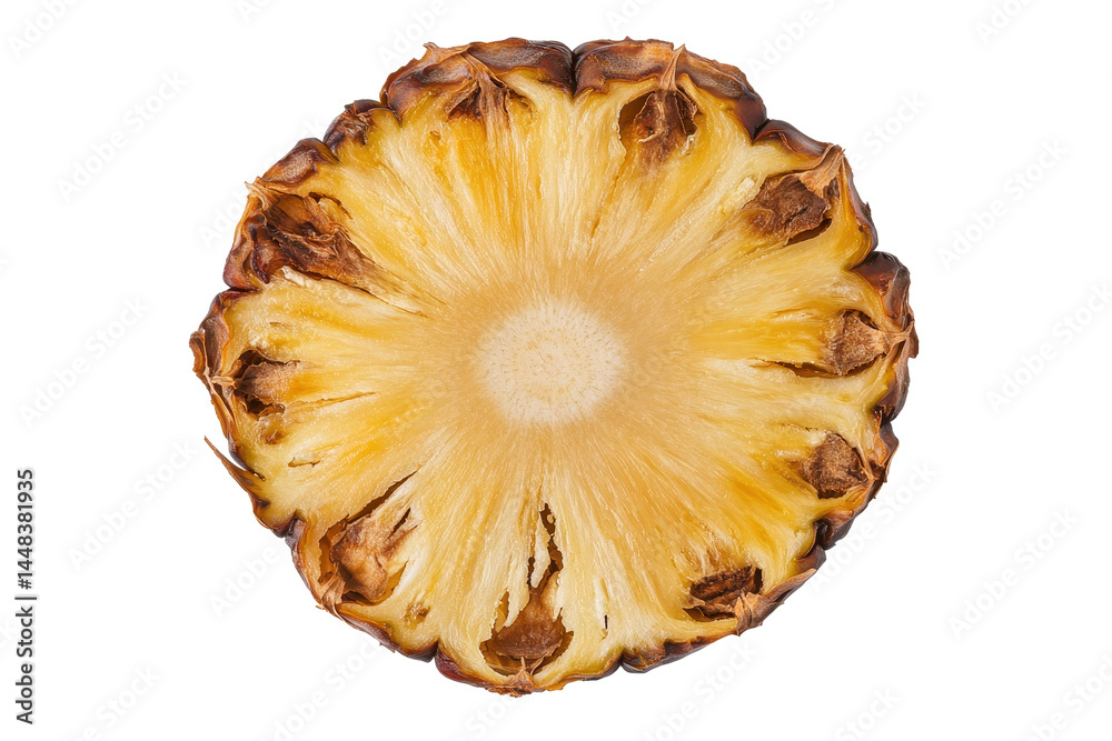 Isolated Grilled Pineapple Slice Isolated Grilled Pineapple Slice