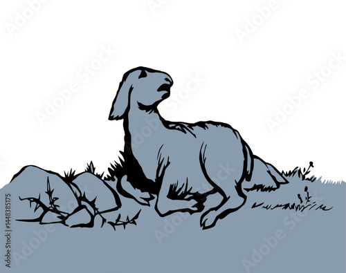 Vector drawing. The sheep got lost in the field
