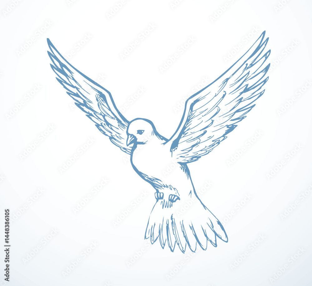 Obraz premium Vector drawing. Dove in the sky