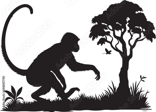  a assa mese macaque vector