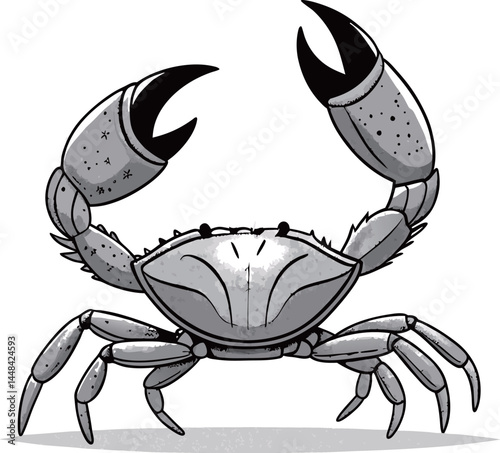 Illustrated Crab