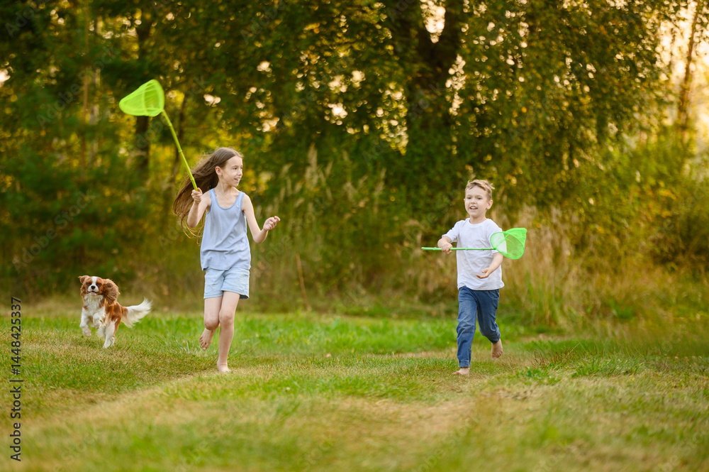 Obraz premium Cute brother and sister running barefoot with butterfly net on grass while playing outside with king charles spaniel dog. Countryside vacation, summer holidays, happy childhood, activity concept
