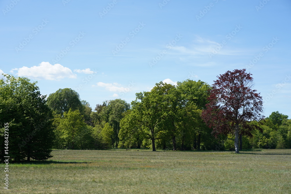 Sonnige Frühlingslandschaft von Park Sanssouci