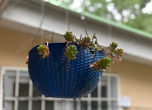  home decorations