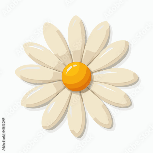 vibrant yellow centered daisy with white petals on a green stem