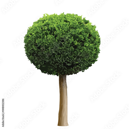 Vector watercolor green tree or forest side view isolated on white background for landscape and architecture drawing,elements for environment or and garden,Shrub for section