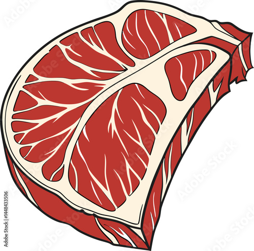 Raw Meat vector icon. raw beef meat vector illustration. Red meat  butcher cuts