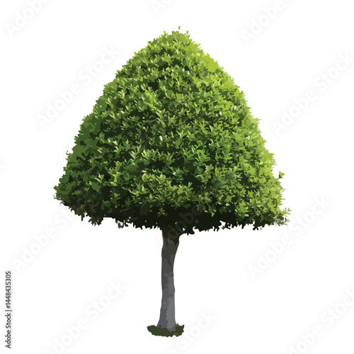 Vector watercolor green tree or forest side view isolated on white background for landscape and architecture drawing,elements for environment or and garden,Shrub for section