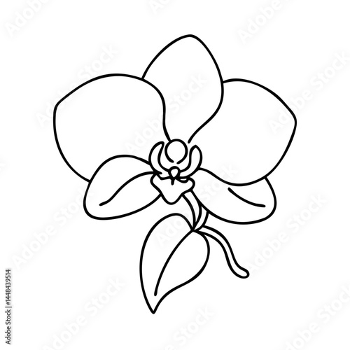 orchid flower icon, orchid flower vector illustration-simple illustration of orchid flower, perfect for orchid flower logos and icons
