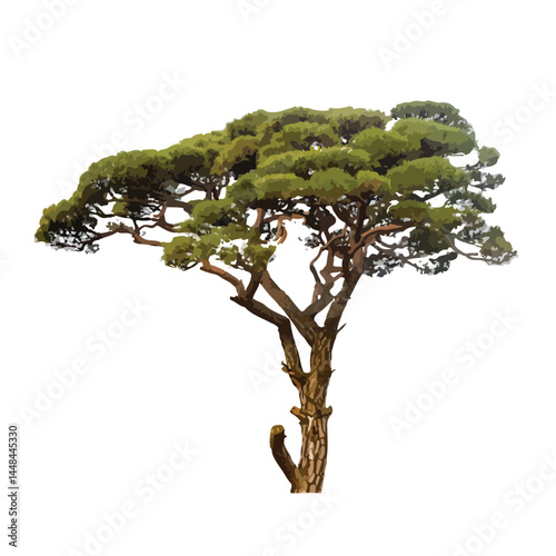 Vector watercolor green tree or forest side view isolated on white background for landscape and architecture drawing,elements for environment or and garden,Shrub for section