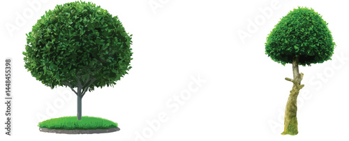 Vector watercolor green tree or forest side view isolated on white background for landscape and architecture drawing,elements for environment or and garden,Shrub for section