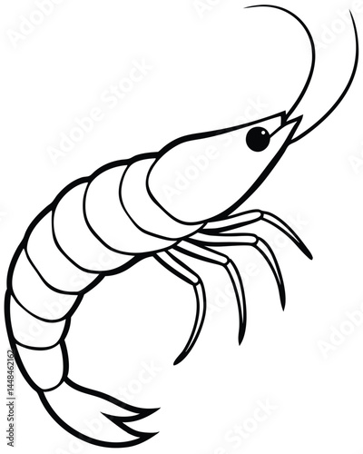 vector illustration of shrimp