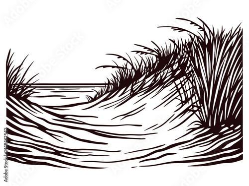 Coastal sand dunes with grass overlooking the ocean waves in black and white silhouette.