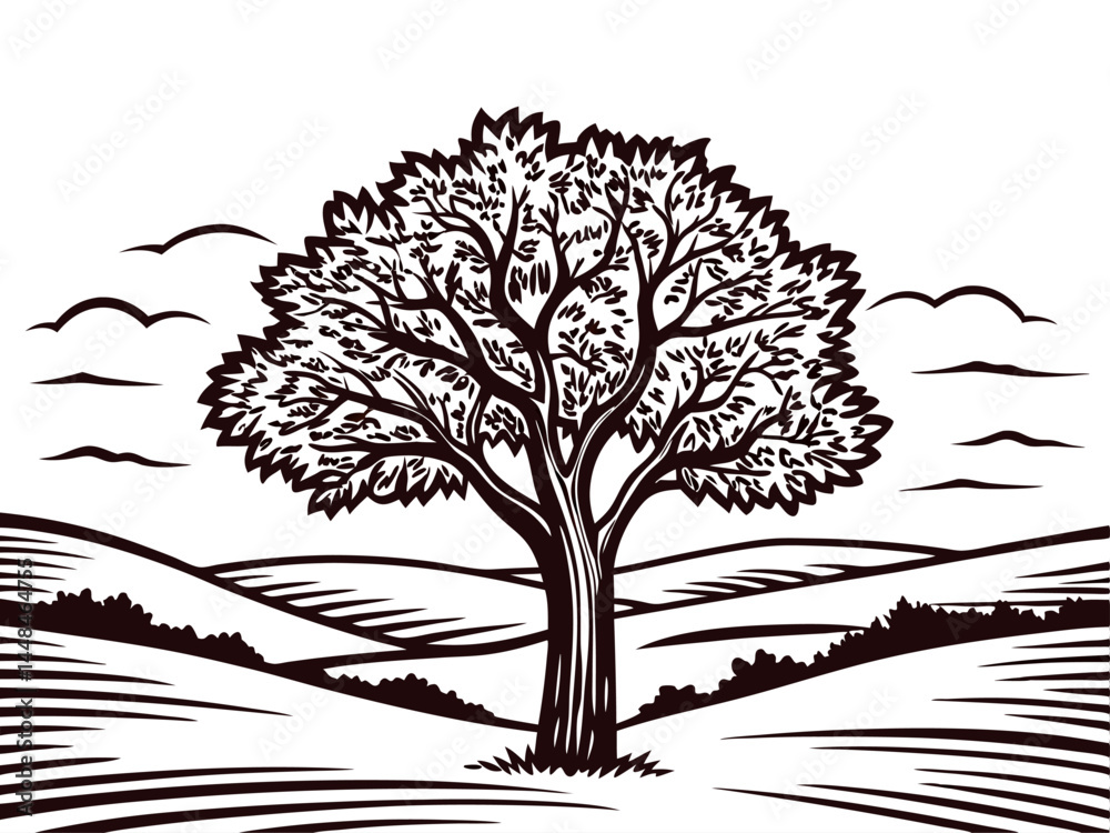 Obraz premium Majestic tree in rolling countryside with cloudy sky and wide landscape view.