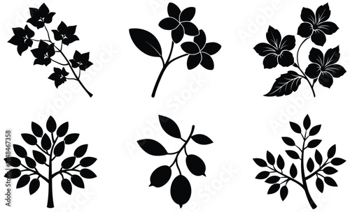 Tree Leaf and Flower Silhouette Vector Set – Botanical Elements, Nature Shapes, Floral Foliage Design