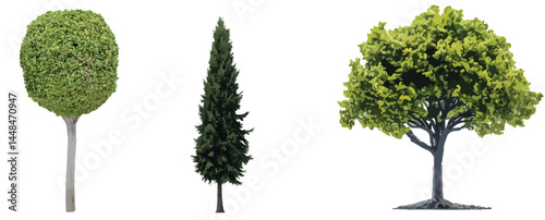 Vector watercolor green tree or forest side view isolated on white background for landscape and architecture drawing,elements for environment or and garden,Shrub for section