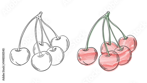 Hand drawn line art sketch cherry fruit. Watercolor cherries juicy berry water coloring page