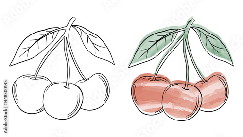 Hand drawn line art sketch cherry fruit. Watercolor cherries juicy berry water coloring page