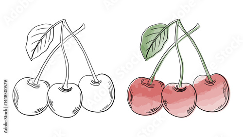 Hand drawn line art sketch cherry fruit. Watercolor cherries juicy berry water coloring page