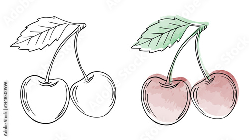 Hand drawn line art sketch cherry fruit. Watercolor cherries juicy berry water coloring page