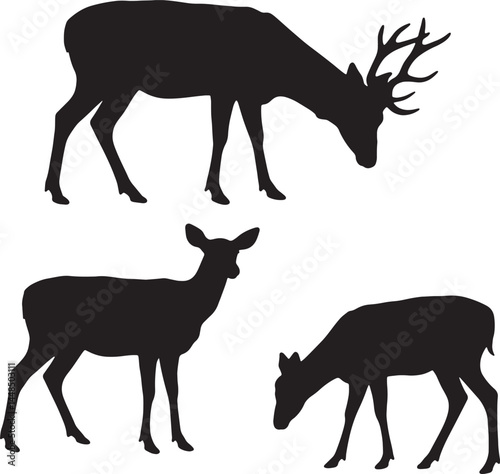 Deer Silhouettes: Trio of Black Vector Outlines
