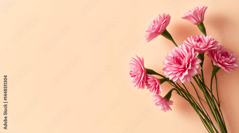 Naklejka premium Pink Carnation Flower Background