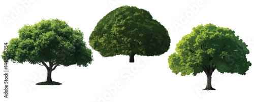 Vector watercolor green tree or forest side view isolated on white background for landscape and architecture drawing,elements for environment or and garden,Shrub for section