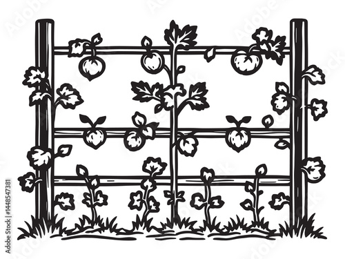 Cucumber Trellis line art icon climbing plant solution