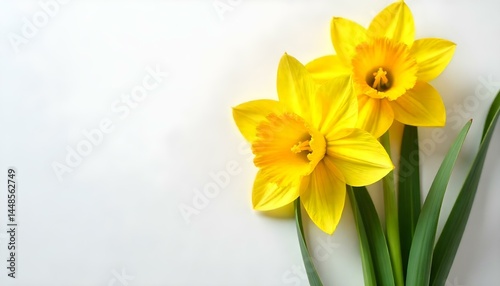 top view of colorful paper icons isolated on yellow, finance concept