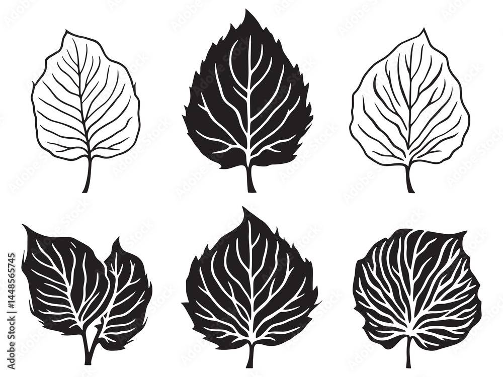 Fototapeta premium Detailed Hosta Leaf Hand Drawn Illustration for Floral Artwork