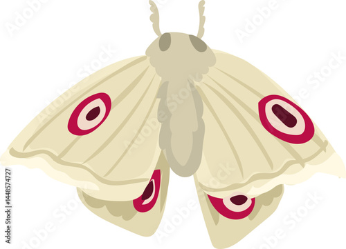 Beautiful Hand-Drawn Colorful Butterfly Illustration with Decorative Wings