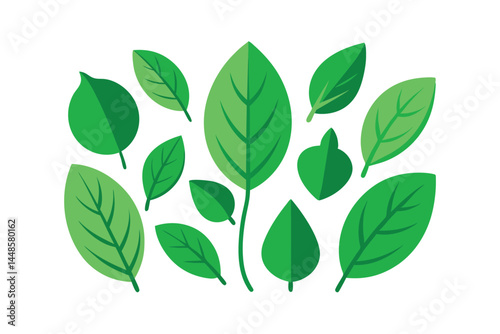 Collection of Green Leaf Isolated on White Background