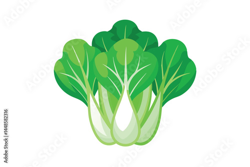 Fresh Green Bok Choy Chinese Cabbage or Pak Chai 