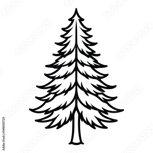 Norway spruce tree line art vector on white background