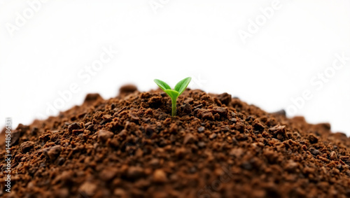 A small green sprout emerging from a mound of dark brown soil against a white background scene is shown created with generated ai