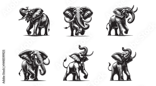 set of elephant with its trunk raised vector Illustration 
