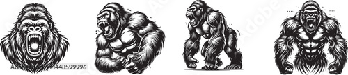set of aggressive roaring Gorilla vector illustration
