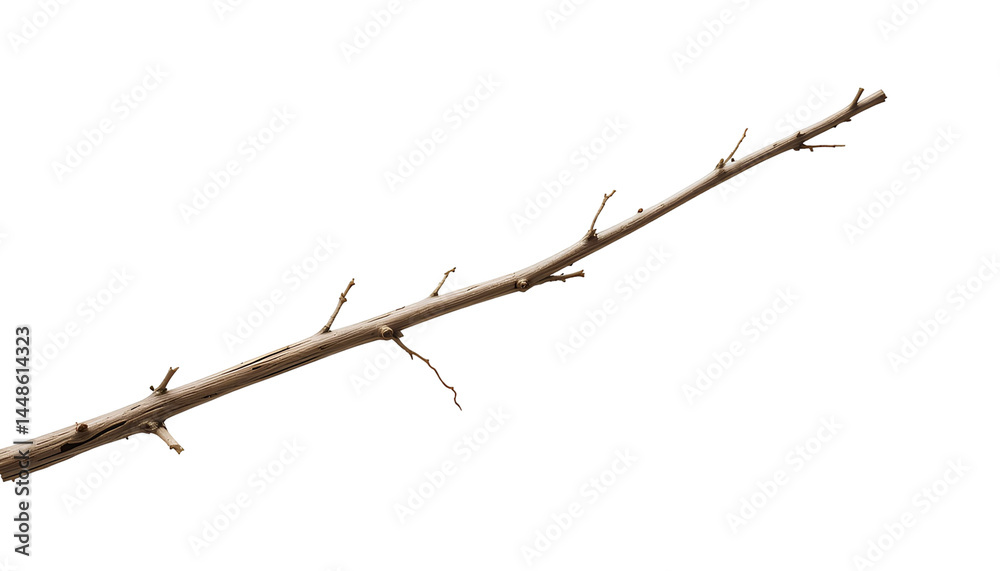 Single, long, light brown branch isolated on transparent background Single, long, light brown branch isolated on transparent background