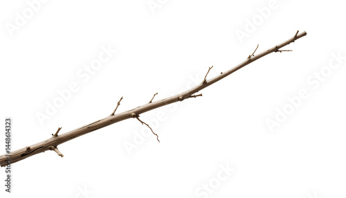 Single, long, light brown branch isolated on transparent background 